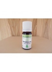 Huile essentielle bio de pamplemousse 5 ml Abiessence | Aroma Beauté