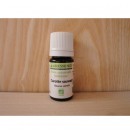Huile essentielle de Carotte sauvage bio 5ml| Aroma Beauté Lyon 4