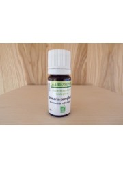 Huile essentielle de Romarin camphré bio 10ml| Aroma Beauté Lyon 4