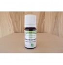 Huile essentielle de Romarin camphré bio 10ml| Aroma Beauté Lyon 4