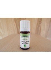 Huile essentielle de Sapin géant bio 10ml| Aroma Beauté Lyon 4