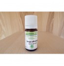 Huile essentielle de Sauge officinale bio 10ml| Aroma Beauté Lyon 4