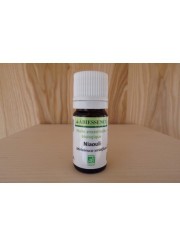Huile essentielle Niaouli 5ml - Abiessence| Aroma Beauté