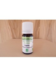 Huile essentielle Cypres 5ml d'Abiessence| Aroma Beauté