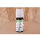 Huile essentielle Cypres 5ml d'Abiessence| Aroma Beauté