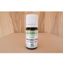 Huile essentielle Eucalyptus radiata d'Abiessence|Aroma Beauté