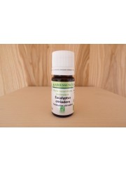 Huile essentielle Eucalyptus citriodora d'Abiessence| Aroma Beauté