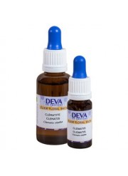 Clématite Elixir floral du Dr Bach 10ml Deva | Aroma Beauté Lyon 4