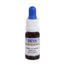 Mimulus Jaune Elixir floral du Dr Bach 10ml Deva | Aroma Beauté Lyon 4
