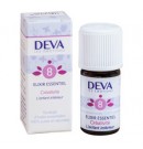 Créativité Elixir essentiel du Dr Bach 5ml Deva | Aroma Beauté Lyon 4
