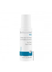 Crème visage Ficoïde à cristaux 40ml Dr Hauschka | Aroma Beauté Lyon 4