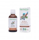 Gemmothérapie Bouleau verruqueux 50ml Herbiolys | Aroma Beauté Lyon 4
