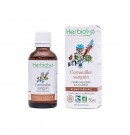Gemmothérapie Cornouiller sanguin 50ml Herbiolys | Aroma Beauté Lyon 4