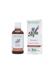 Gemmothérapie Noisetier 50ml Herbiolys | Aroma Beauté Lyon 4