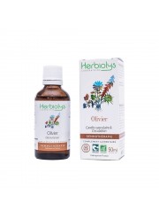 Gemmothérapie Olivier 50ml Herbiolys | Aroma Beauté Lyon 4