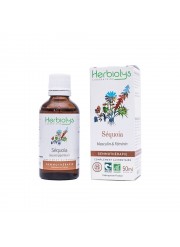 Gemmothérapie Séquoia 50ml Herbiolys | Aroma Beauté Lyon 4