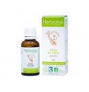 Gemmo sans alcool Cèdre du Liban 30ml Herbiolys | Aroma Beauté Lyon 4