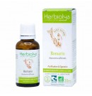 Gemmo sans alcool Romarin 30ml Herbiolys | Aroma Beauté Lyon 4