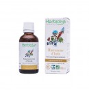 Phytothérapie Marronnier d'Inde 50ml Herbiolys | Aroma Beauté Lyon 4