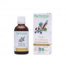 Phytothérapie Pavot de Californie 50ml Herbiolys | Aroma Beauté Lyon 4
