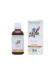 Phytothérapie Grande Bardane 50ml Herbiolys | Aroma Beauté Lyon 4