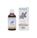 Phytothérapie Pissenlit 50ml Herbiolys | Aroma Beauté Lyon 4