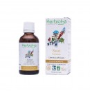 Phytothérapie Souci 50ml Herbiolys | Aroma Beauté Lyon 4