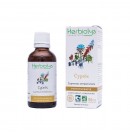 Phytothérapie Cyprès 50ml Herbiolys | Aroma Beauté Lyon 4