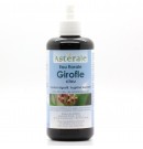 Eau florale Clou de Girofle 50ml Asterale | Aroma Beauté Lyon 4