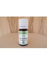 HE Encens oliban 5ml Huile essentielle Abiessence | Aroma beaute Lyon