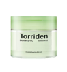 torrriden disques purifiants CICA