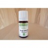 Huile essentielle Sauge officinale 5ml - Abiessence| Aroma Beauté